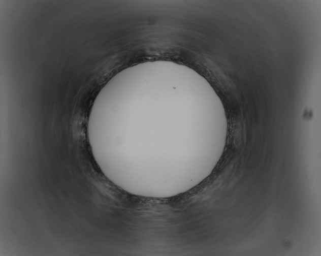 X0000100750770200807171411