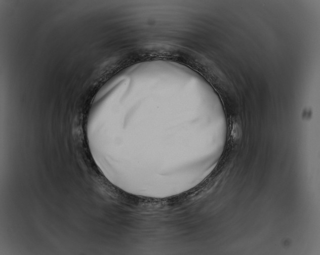 X0000100750771200807171411