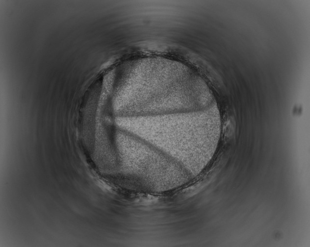 X0000100750772200807171411