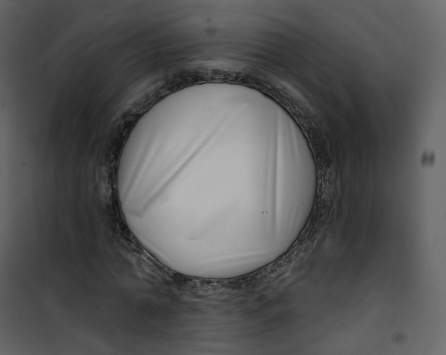 X0000100750774200807171411