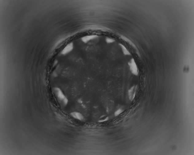 X0000100750775200807171411