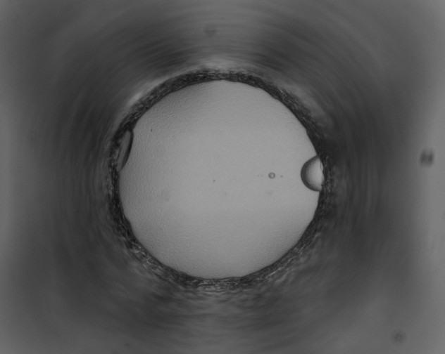 X0000100750776200807171411