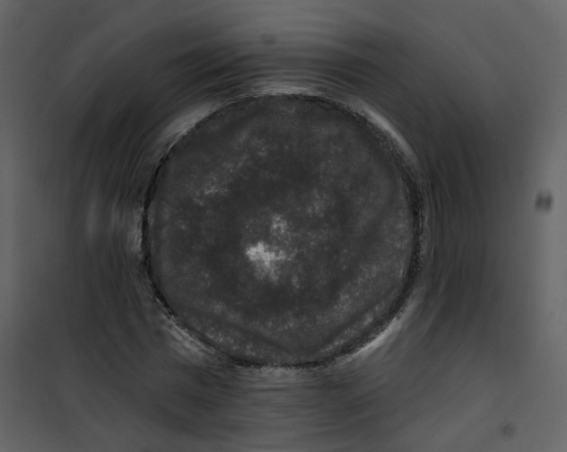 X0000100750777200807171411