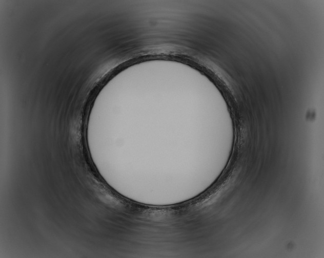 X0000100750778200807171411