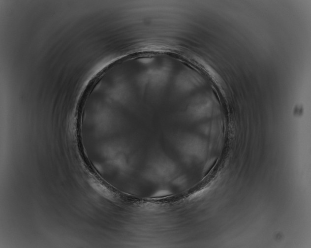 X0000100750779200807171411