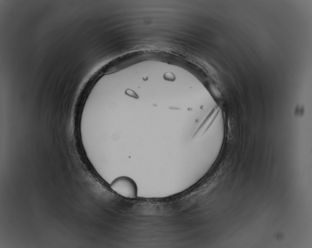 X0000100750780200807171411