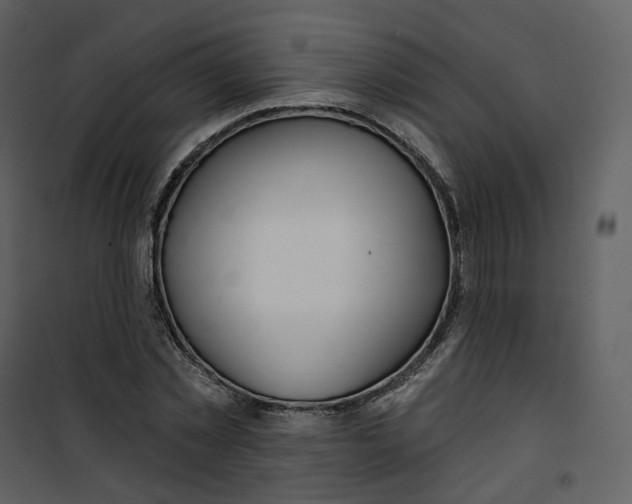 X0000100750781200807171411