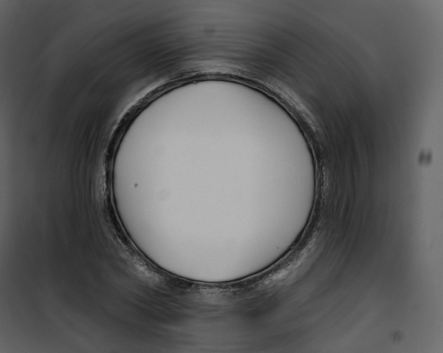 X0000100750782200807171411