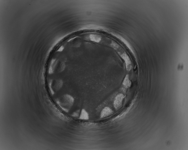 X0000100750783200807171410