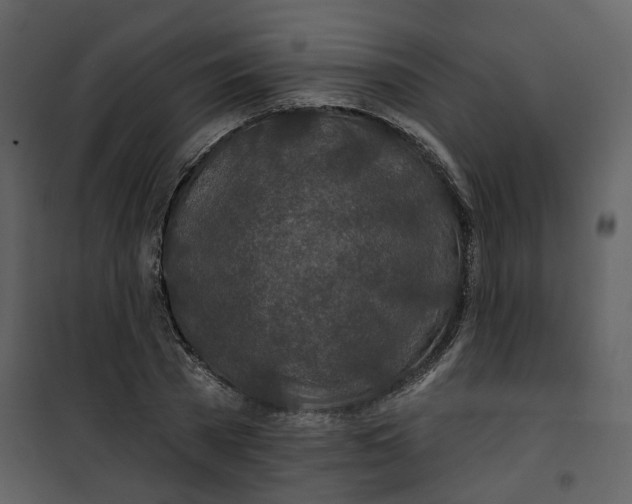 X0000100750785200807171410