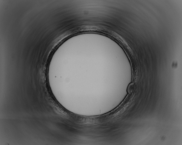 X0000100750786200807171410