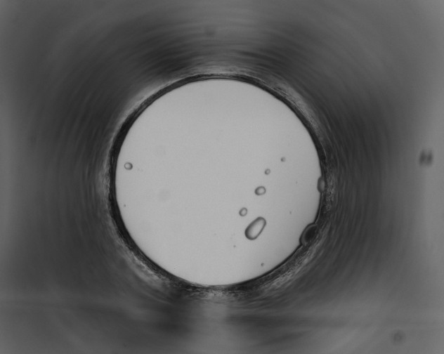 X0000100750787200807171410