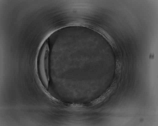 X0000100750788200807171410