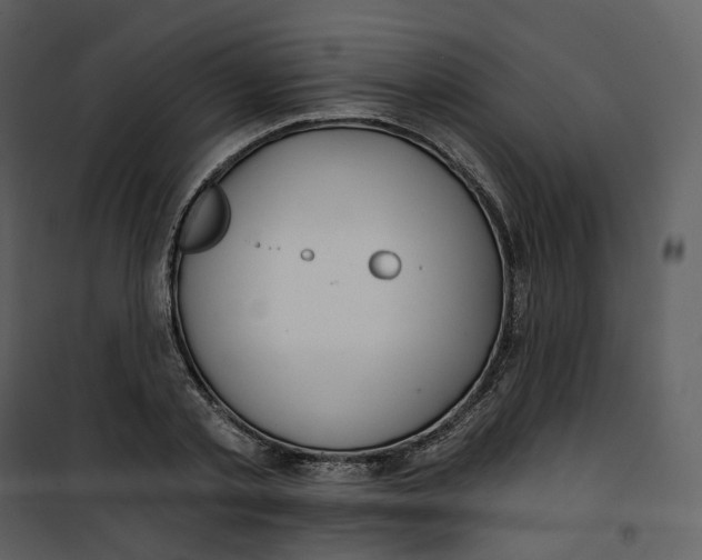 X0000100750789200807171410
