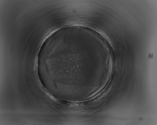 X0000100750790200807171410