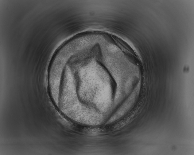 X0000100750791200807171410