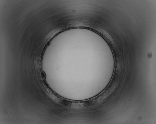 X0000100750793200807171410