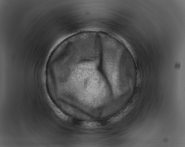X0000100750795200807171410