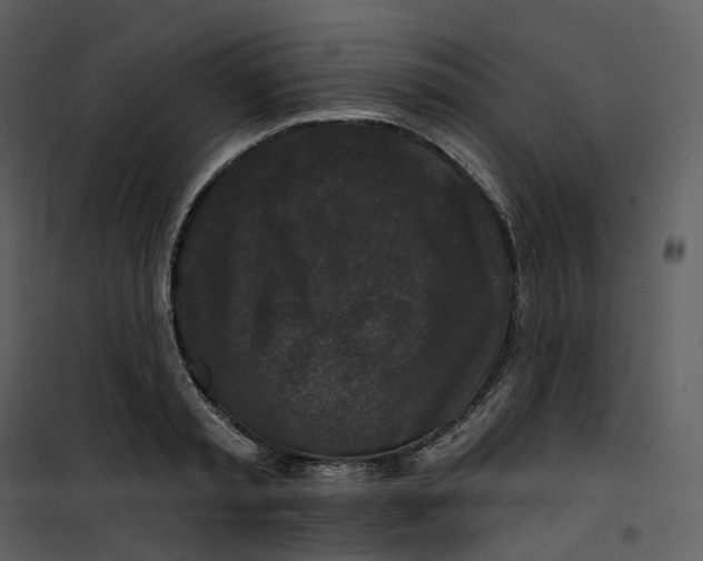 X0000100750797200807171410
