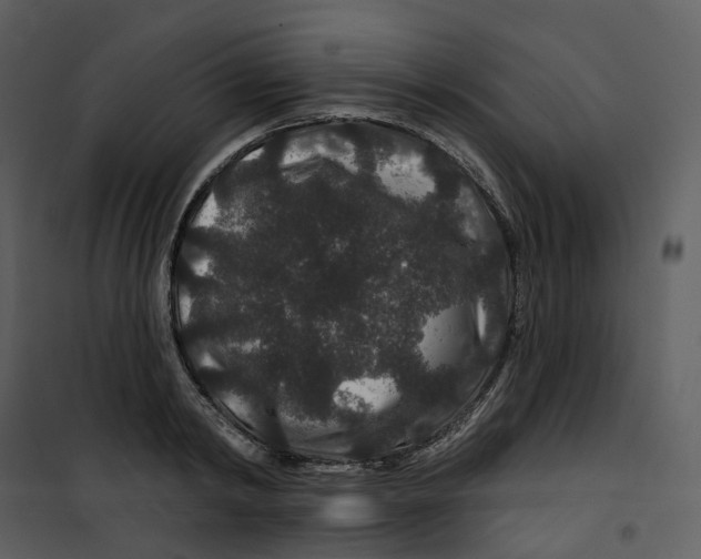 X0000100750798200807171410