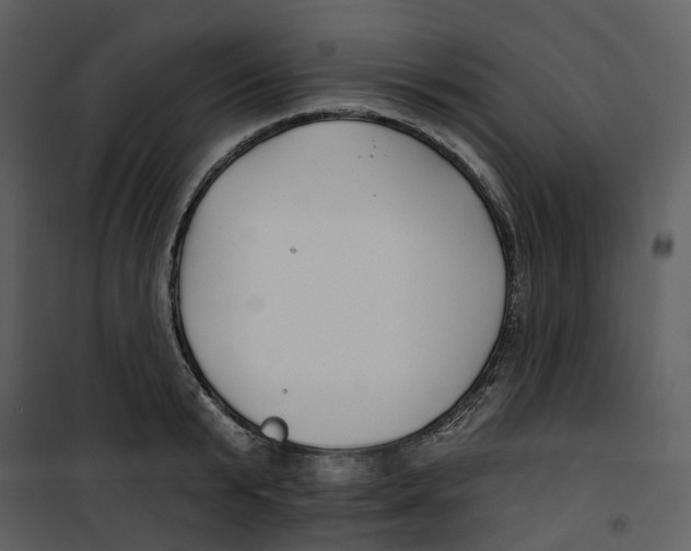 X0000100750799200807171410