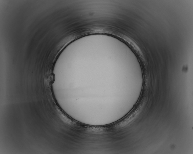 X0000100750801200807171410