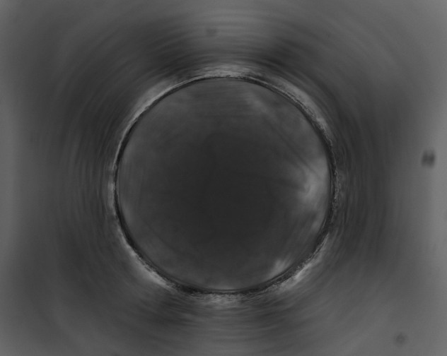 X0000100750802200807171410