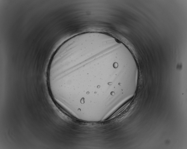 X0000100750803200807171410
