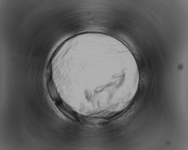 X0000100750804200807171410