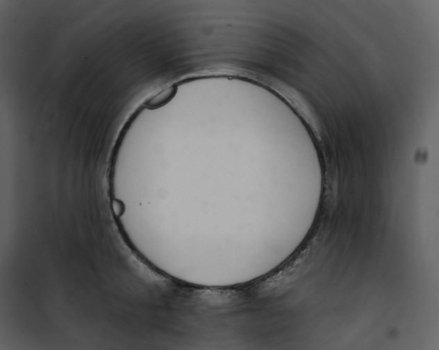 X0000100750805200807171410