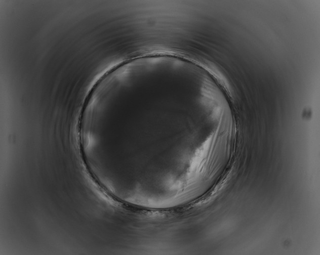 X0000100750806200807171410