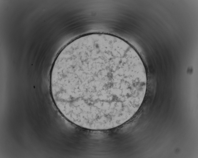 X0000100750807200807171410