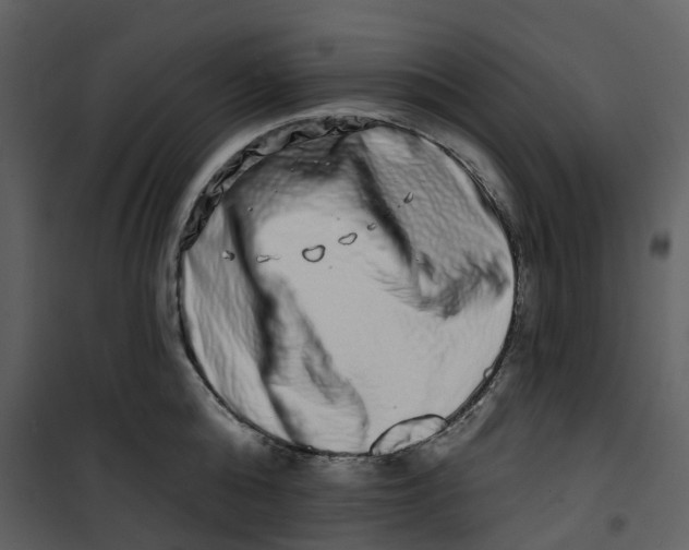 X0000100750808200807171410