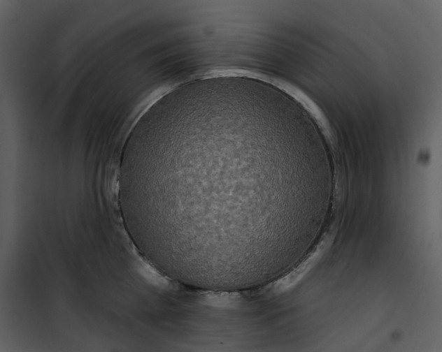 X0000100750809200807171410