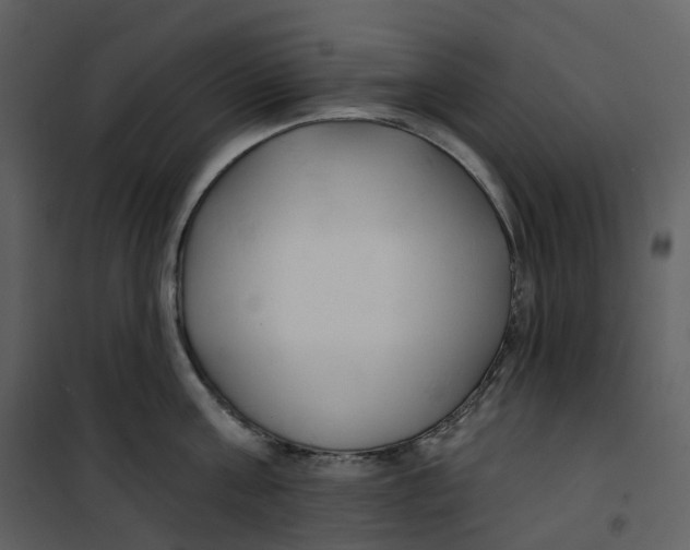 X0000100750811200807171410