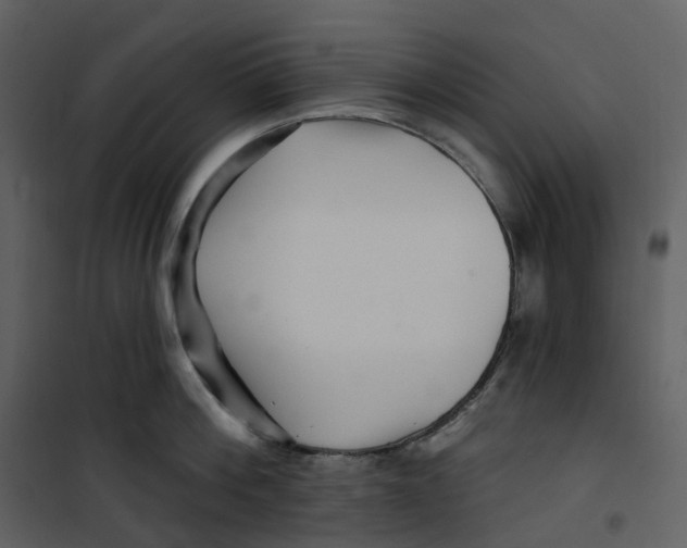 X0000100750812200807171410