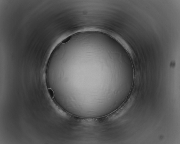 X0000100750813200807171410