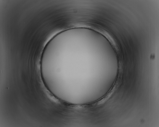 X0000100750814200807171410