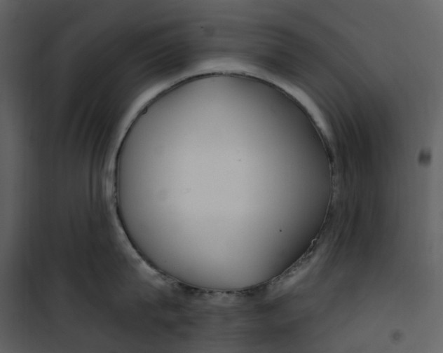 X0000100750815200807171410