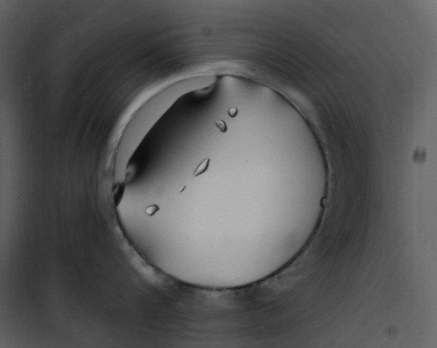X0000100750816200807171410