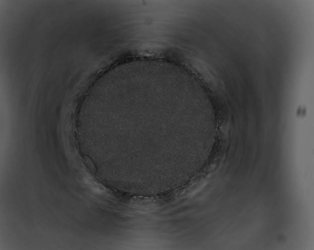 X0000100750817200807171409