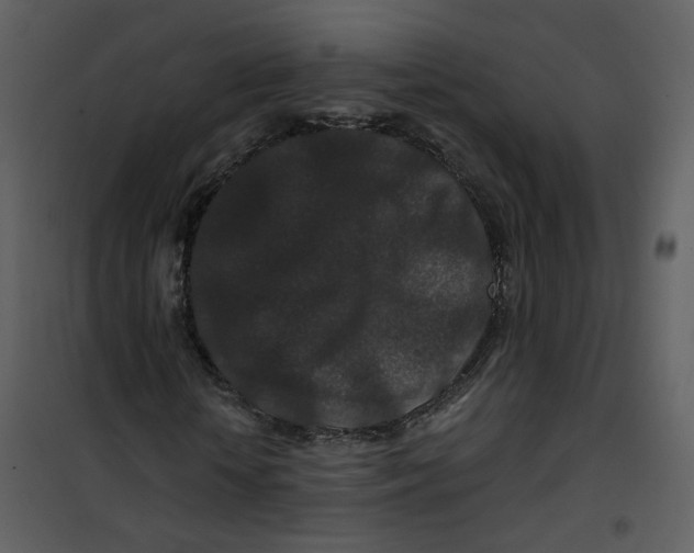 X0000100750818200807171409
