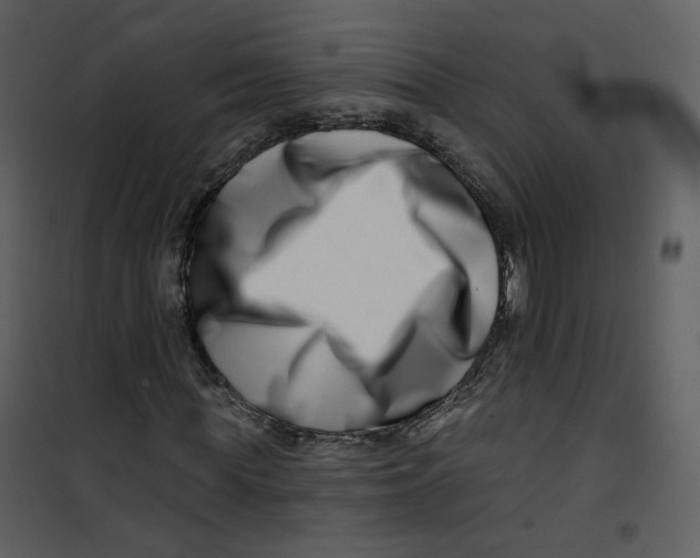 X0000100750819200807171409