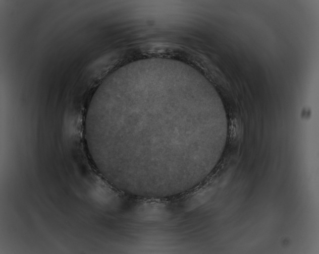 X0000100750820200807171409
