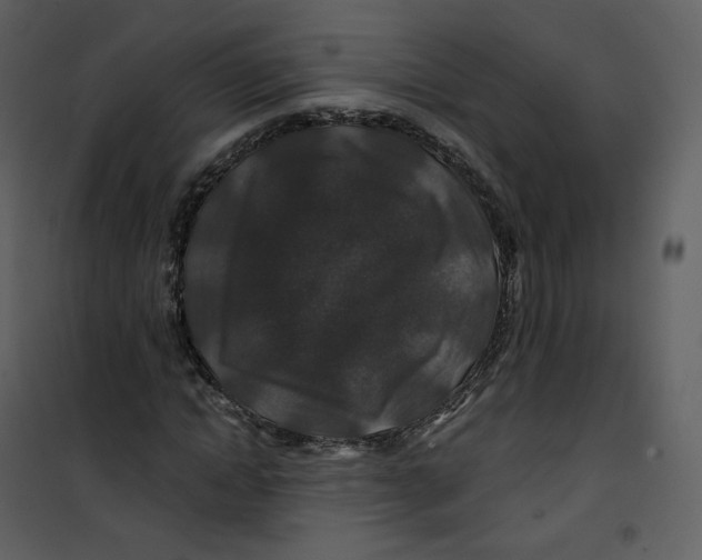 X0000100750822200807171409