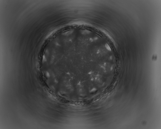 X0000100750823200807171409