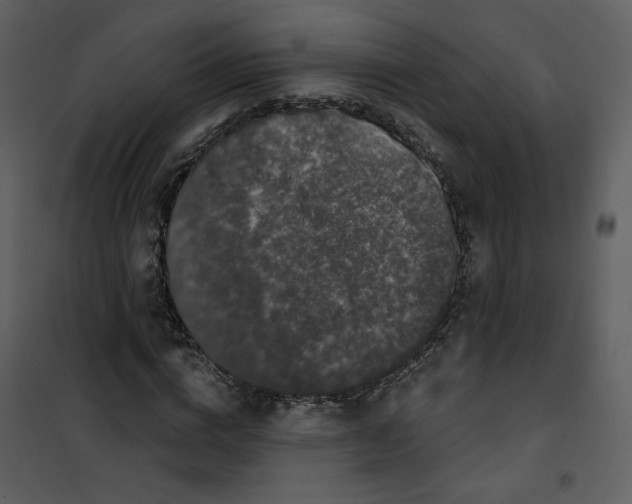 X0000100750824200807171409