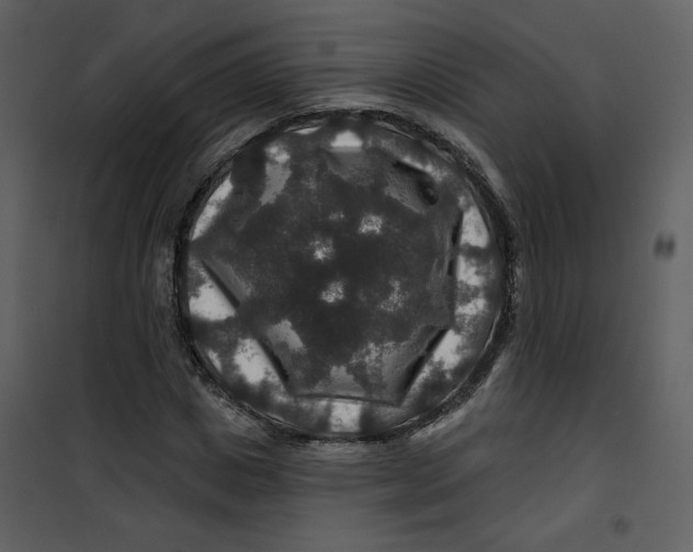 X0000100750825200807171409