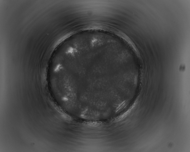 X0000100750826200807171409