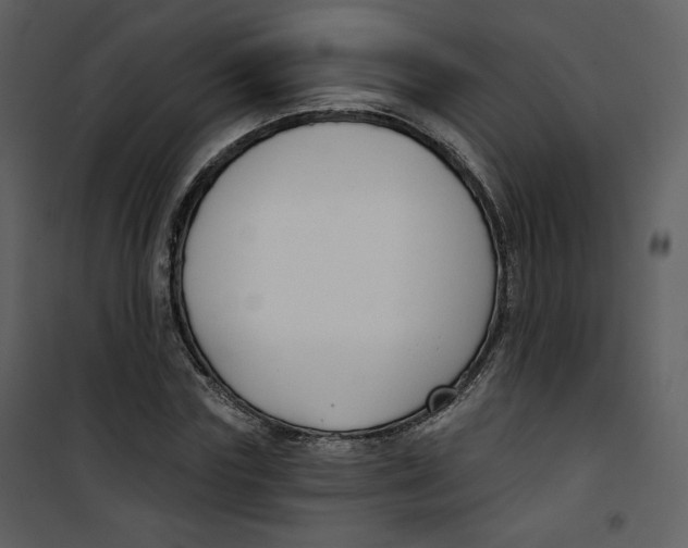 X0000100750827200807171409
